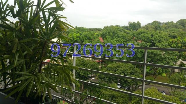 Treasure Place (D5), Condominium #109498282